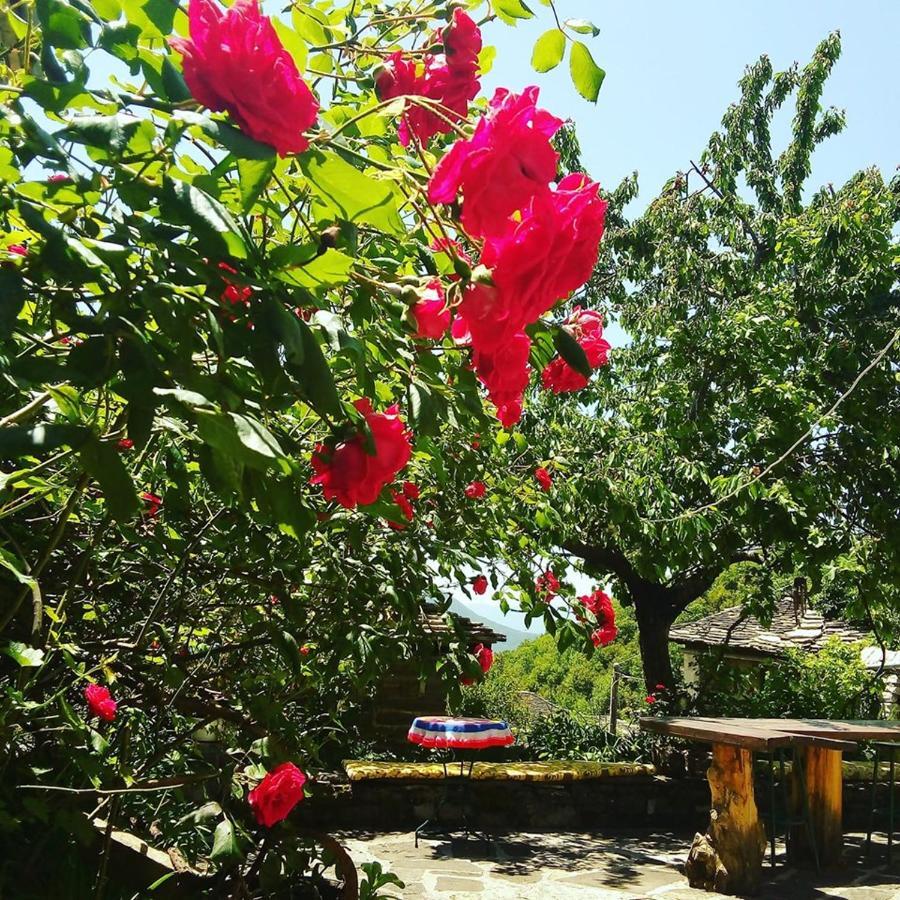 Morfeas Guesthouse ปาปิงโก ภายนอก รูปภาพ